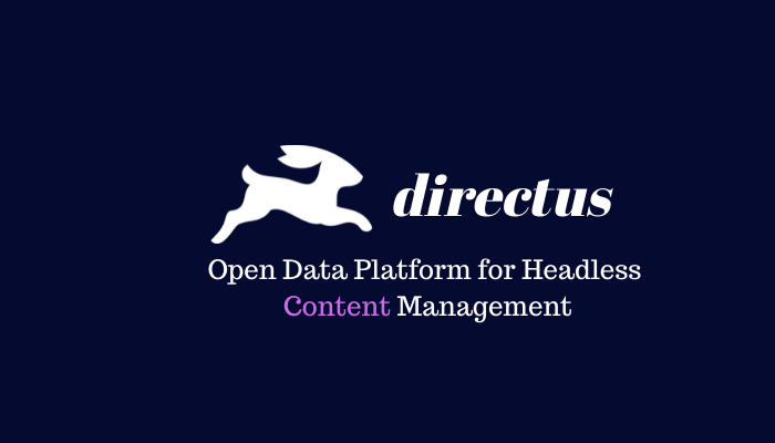 Headless cms - Directus