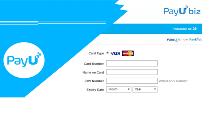 online payment gateways in India - payubiz